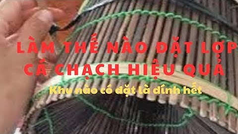 Làm thế nào để đặt lợp cá chạch hiệu quả - dính nhiều ai đặt cũng được ll Zalo 0364117809