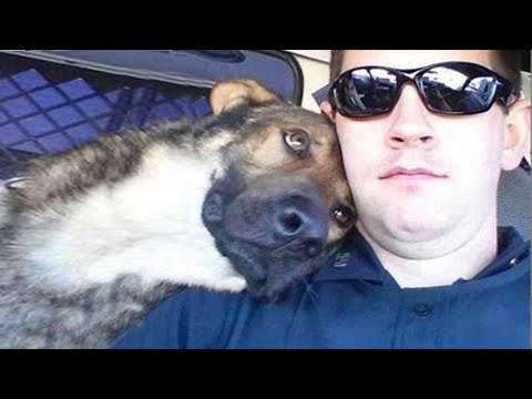 We Truly Don't Deserve Dogs! ❤️️ Cute Dog And Human Moments