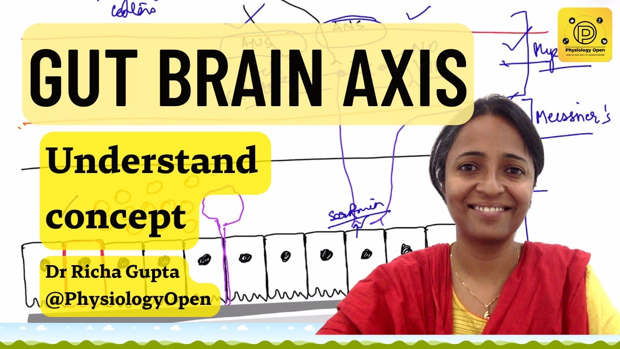 Physiology of Gut brain axis, role of microbiome physiology | Gastrointestinal physiology