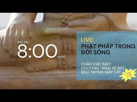 Video Thiền Nước Cam Lồ với Bạch Liên Hoa - youtube