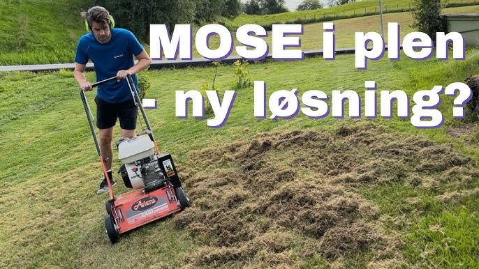 Mose på Plenen: Bli Kvitt Det og Få en Flott Plen