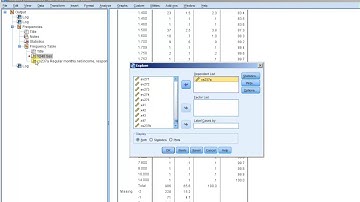 Split file (IBM® SPSS® Statistics software ("SPSS"))