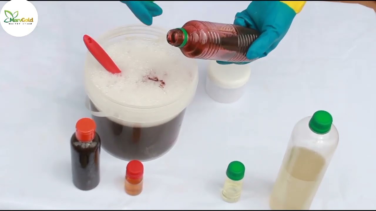 How To Make Hair Shampoo || 31 Days Learning Challenge || Day 18