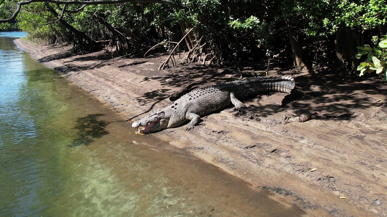 Cape Tribulation to Cooktown via the Bloomfield Track + Elim Beach (Coloured Dunes & Canyon)