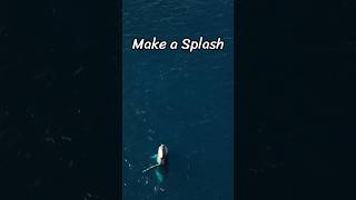 Why don’t you make a splash?
