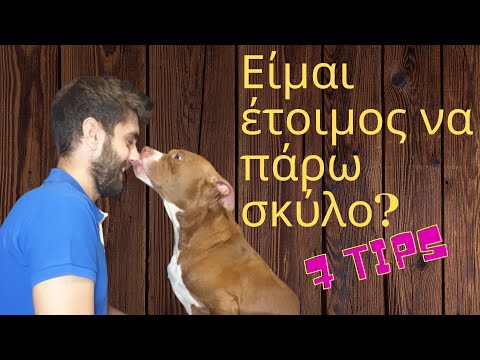 Είμαι έτοιμος να πάρω σκύλο? 7 TIPS