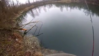 Gros Brochet surprise en cherchant le Sandre en Hiver au bord du Rhône