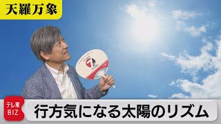 これからが活発な時期!?　行方気になる太陽のリズム【久保田解説委員の天羅万象】(81)（2022年6月3日）