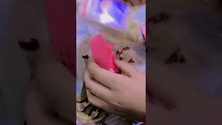 Mortein Magic Insta Card