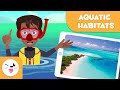Explorez les habitats aquatiques  types dhabitats pour les enfants