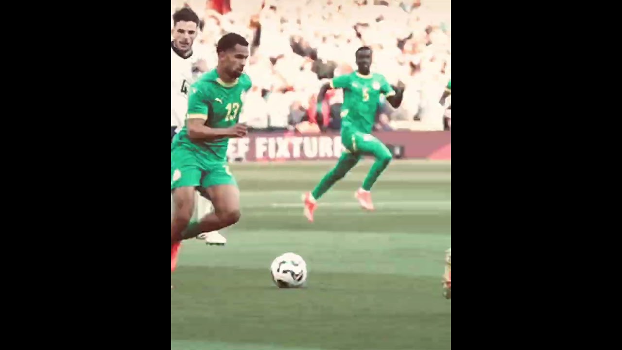 Ilimane ndiaye dans ces œuvres avec un double contact 