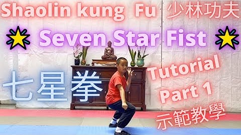 ► Shaolin Kung Fu Training Tutorial - Seven Star Fist (Qi Xin Quan ✨ 七星拳) #少林功夫 #功夫教學 示範 教學 🙏 Part 1
