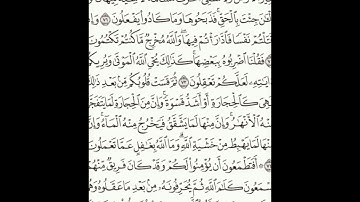 سورة البقرة 70-76 (١١)     Sheikh Anas AlHibri