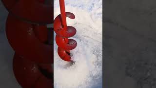 Antarctica Ice Core Science Story #shortvideo #facts #shorts