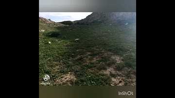 سورة الكوثر هزاع البلوشي