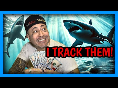 $200 to $800 in Blackjack! Can we do it?!