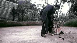 Video007.avi