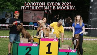 ЗОЛОТОЙ КУБОК 2023. ПУТЕШЕСТВИЕ В МОСКВУ Ч.1.