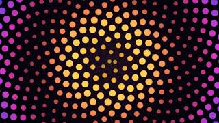 Information Phyllotaxis sunflower 4k Visual Loop | Python + Taichi CUDA | 60 FPS Guide