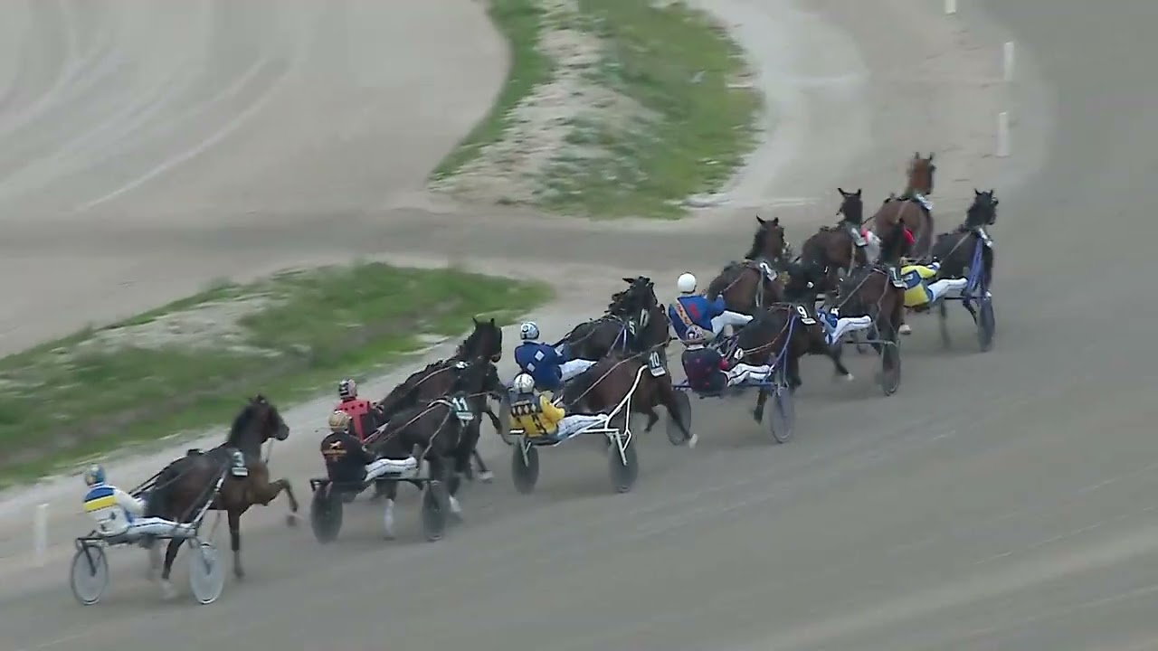 Napoli Trotto 06/03/2026 - 7ª corsa