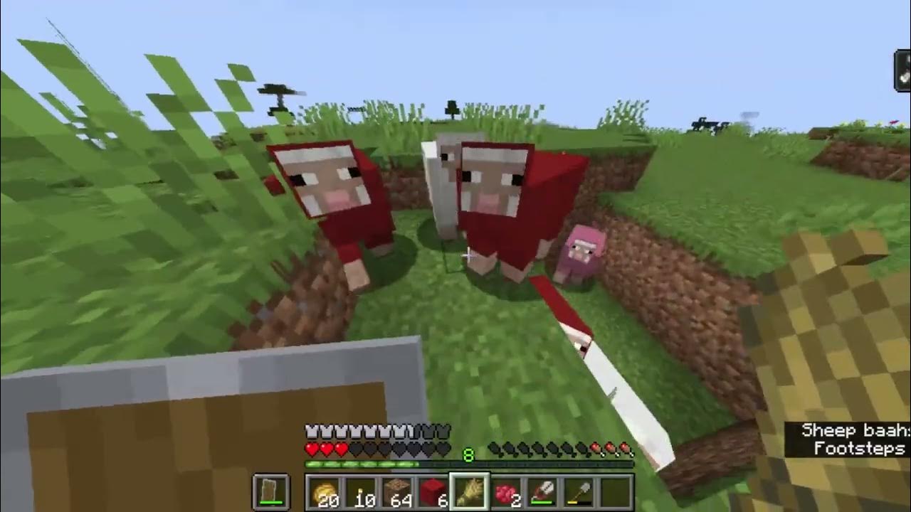 my minecraft sheep can climb ladders YouTube