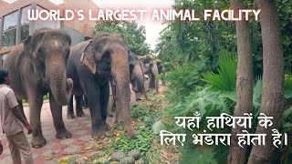 Introducing Vantara: Anant Ambani's Epic Passion Project, the World's Largest Animal Rescue Facility by Distance between 42,180 views 3 months ago 3 minutes, 56 seconds