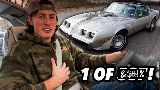 Why this RARE 1979 Trans Am is so special | 1979 Trans Am 10th Anniversary Edition | DriveHub