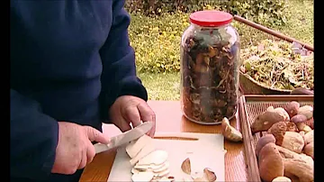 Jak dlouho vařit houby?