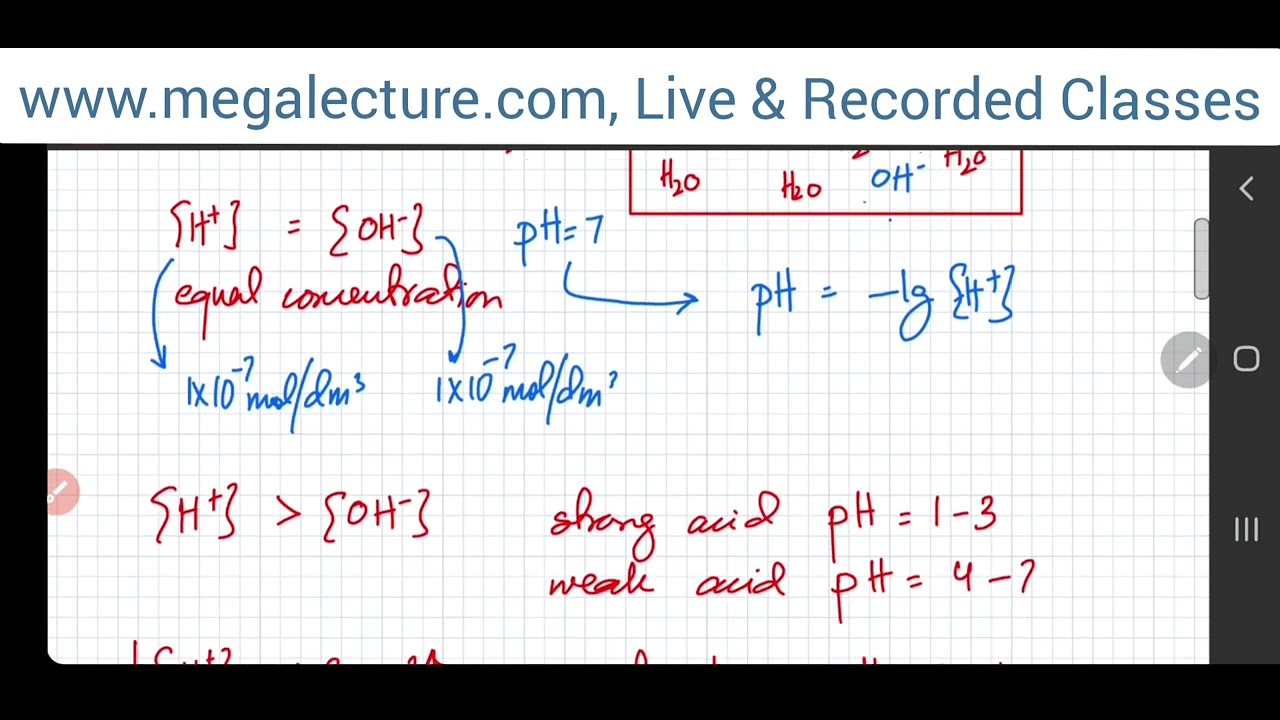 Basic pH Curves for Titration | AS 9701 Chemistry | New Syllabus