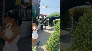 Beautiful ❤️🇦🇪🤟😱#dubai #dubailfe #love #miraclegarden #miracle #garden #india #views #viral