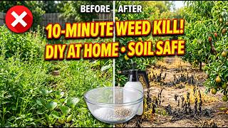 Natural Weed Killer Recipe Using Salt, Urea & Potassium – Safe, Cost-Effective, 100% Effective