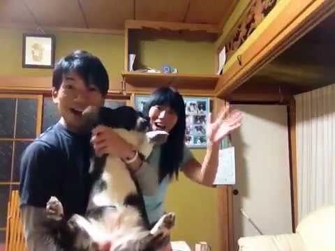 MONGOL800　あなたに