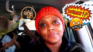 ​🛣️​🦌​🚙​THE DEER HIT MY CAR | NOTHING WILL STOP ME FROM GETTING THERE!!