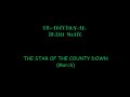 Harmonica  tin whistle irish  the star of the county down march