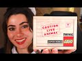 MI É ARRIVATO UN PACCO LEGO A CASA!!!