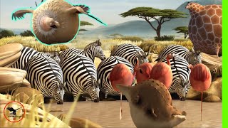 🏅 When Animals Get Fat And The End |  3D Cartoon |  Wild Animals HD screenshot 4