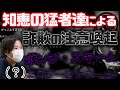 【コレコレ】被害総額1億円の事件…集まった知恵の猛者たちが凄すぎる
