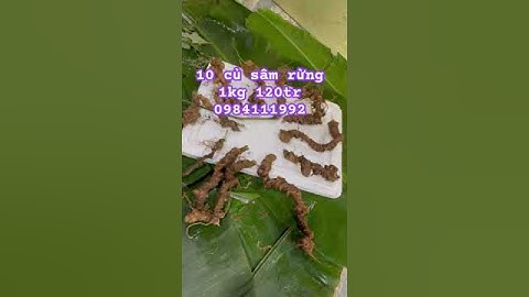 Lô sâm rừng vip #sâm_ngọc_linh_rừng #sâm_lai_châu_rừng #sâm_ngọc_linh