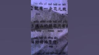 Fu bao-ni shi wo de mei gui hua