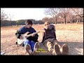 NewJeans (뉴진스) - Ditto - (Cover by Gyoshi & POLY)