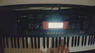 Rammstein - Pussy (Keyboard Cover)