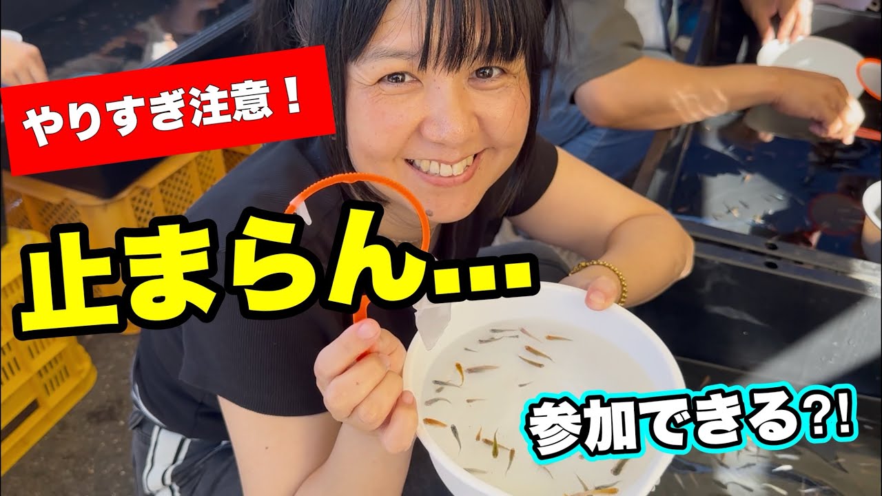 やりすぎ注意！止まらないメダカすくい…参加できるって本当？