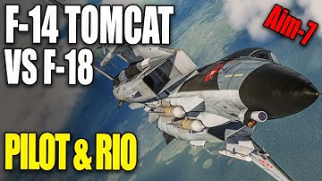 DCS World F-14 TOMCAT PVP using AIM-7 Sparrow RIO & PILOT (4K RTX4090)