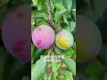 short 18 || #youtube #ytshorts #youtubeshorts