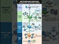 Networking Devices Explained in 2 Minutes | Hub, Switch, Router & More 🌐 #it #shorts