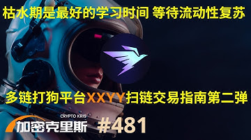 多链打狗平台XXYY扫链交易指南第二弹，拆解扫链背后的底层逻辑【加密克里斯 第481期】