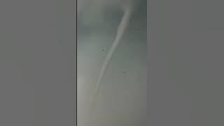 Viral Pentil Muser - Puting Beliung di Bojonegoro Timur