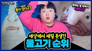 [이거알아?! 물고기괴담] 세상에서 제일 못생긴 물고기 순위!🐟🐡 그런데!! 제일 못생긴 물고기는 원래 잘생겼다고?!