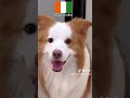Mali Ooo Mali Ooo Le Nouveau Son Mali Ooo Mali Ooo Le Nouveau Son