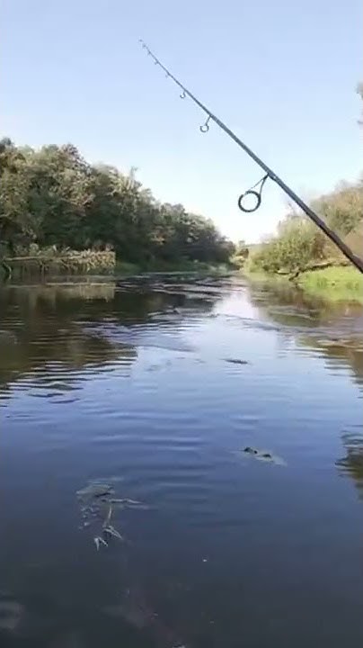 Ловля Окуня на кренки. Поймал Отпусти. #Fishing. #shorts - YouTube